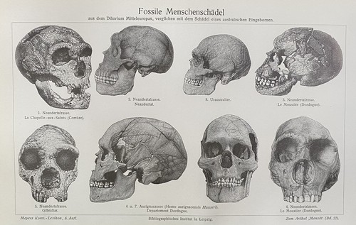 Antike grafik - antike,