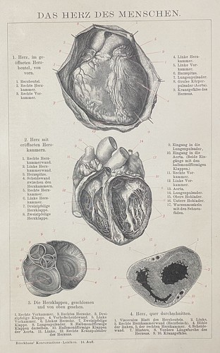 Antike grafik medizin - antike,