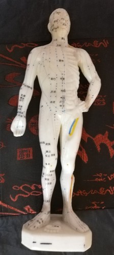 Akupunktur modell figur - akupunktur,